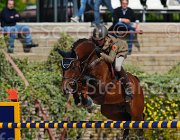 CRISTOFOLETTI AMICO MIO CampITA2013- S5 9372 : AMICO MIO, CRISTOFOLETTI ROBERTO, Campionati Italiani 2013, Cattolica, Horse Riviera Resort, foto di Stefano Secchi ©